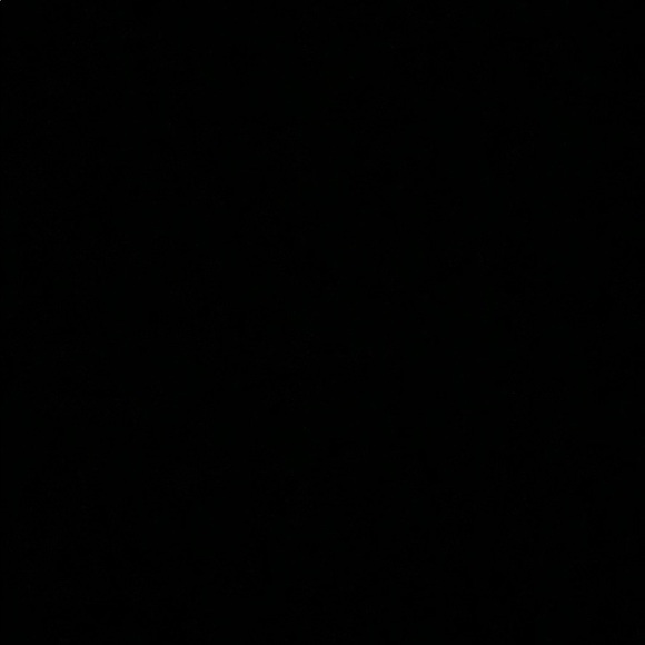 Meet the Posher Other - Meet your Posher, Ashanti